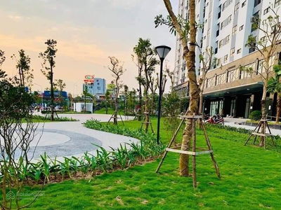 Golden Land 5, Vietnam Golden Land 5, Vietnam