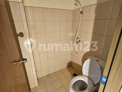 TIFOLIA, Indonesia  TIFOLIA, Indonesia