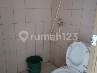 TIFOLIA, Indonesia  TIFOLIA, Indonesia