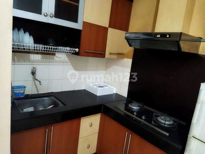 Majesty, Indonesia  Majesty, Indonesia