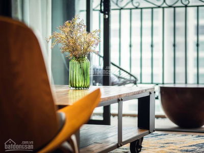 D'. Le Roi Soleil - Quang An, Vietnam D'. Le Roi Soleil - Quang An, Vietnam