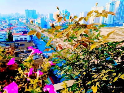 Building, Vietnam Building, Vietnam