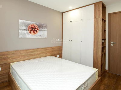 The Link, Vietnam The Link, Vietnam