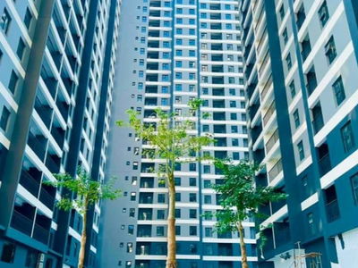 Hanhomes Blue Star, Vietnam Hanhomes Blue Star, Vietnam