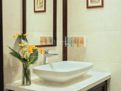 D'. Le Roi Soleil, Vietnam D'. Le Roi Soleil, Vietnam