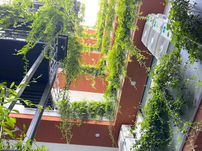 Street 32 Tran Van Du, Vietnam  Street 32 Tran Van Du, Vietnam