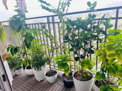 Sunrise City View, Vietnam  Sunrise City View, Vietnam