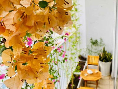 The Harmona, Vietnam The Harmona, Vietnam