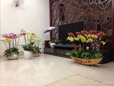 Him Lam Kenh Te, Vietnam  Him Lam Kenh Te, Vietnam