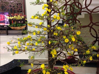 Him Lam Kenh Te, Vietnam  Him Lam Kenh Te, Vietnam