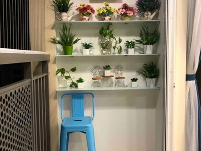 Saigon Mia, Vietnam Saigon Mia, Vietnam