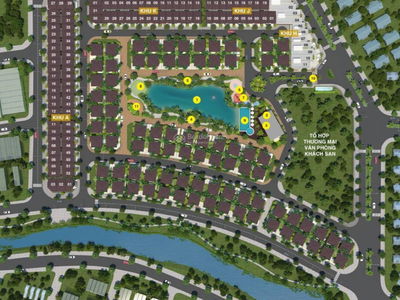 Camellia Garden, Vietnam Camellia Garden, Vietnam