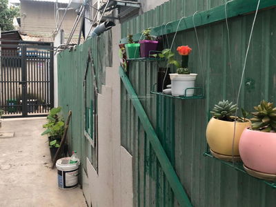 11/17, Vietnam  11/17, Vietnam