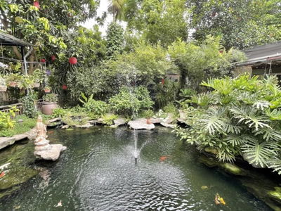 An Duong Street, Vietnam An Duong Street, Vietnam