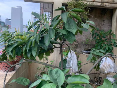 Vong Thi Street, Vietnam Vong Thi Street, Vietnam