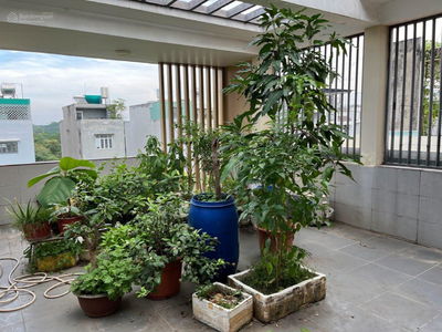 Hung Phu 1, Vietnam  Hung Phu 1, Vietnam