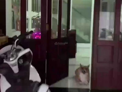 Pho Quang Street, Vietnam Pho Quang Street, Vietnam