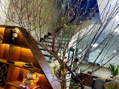 Thach Ban Street, Vietnam Thach Ban Street, Vietnam