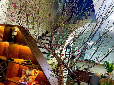 Thach Ban Street, Vietnam  Thach Ban Street, Vietnam