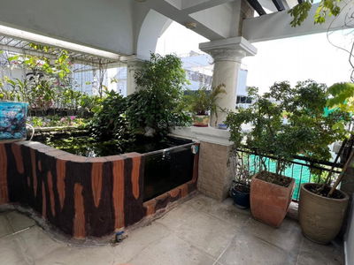 No. 1, Vietnam No. 1, Vietnam