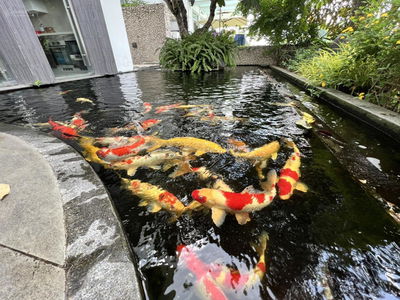 Ciputra Hanoi, Vietnam Ciputra Hanoi, Vietnam