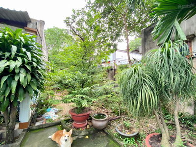 Linh Trung Ward, Vietnam  Linh Trung Ward, Vietnam