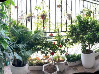 Ngoc Thuy Street Ngoc Thuy Street