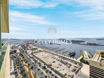 Sunrise Bay, United Arab Emirates  Sunrise Bay, United Arab Emirates