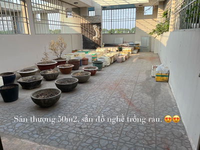 N3 Street, Vietnam N3 Street, Vietnam