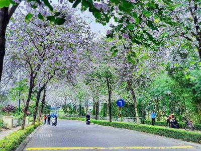 Sunshine City, Vietnam Sunshine City, Vietnam