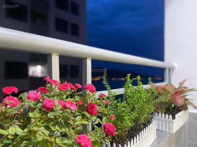 Muong Thanh Vien Trieu, Vietnam Muong Thanh Vien Trieu, Vietnam