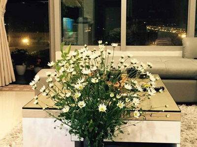 Thang Long Number One, Vietnam Thang Long Number One, Vietnam