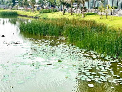 Mizuki Park, Vietnam Mizuki Park, Vietnam