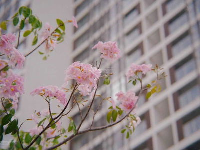 Midtown Phu My Hung, Vietnam Midtown Phu My Hung, Vietnam