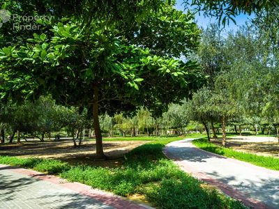 Saleh Bin Lahej 401, United Arab Emirates  Saleh Bin Lahej 401, United Arab Emirates