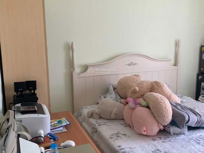 Dic Phoenix, Vietnam Dic Phoenix, Vietnam