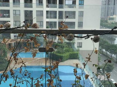 The Gold View, Vietnam The Gold View, Vietnam