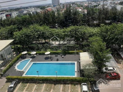 Flora Cherry, Vietnam Flora Cherry, Vietnam