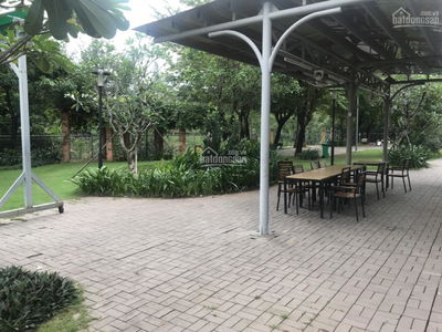 Flora Cherry, Vietnam Flora Cherry, Vietnam