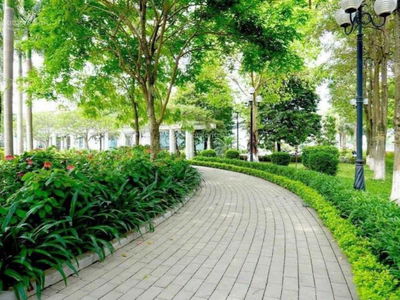 Moonlight 1, Vietnam Moonlight 1, Vietnam