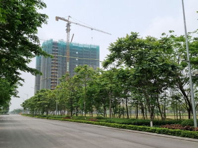 Moonlight 1, Vietnam Moonlight 1, Vietnam