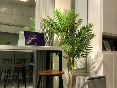 RichStar Apartment, Vietnam RichStar Apartment, Vietnam