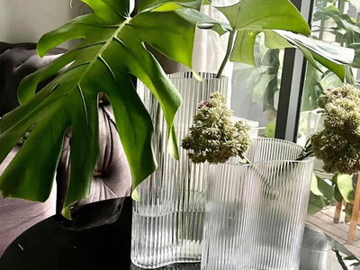 Sky 9, Vietnam Sky 9, Vietnam