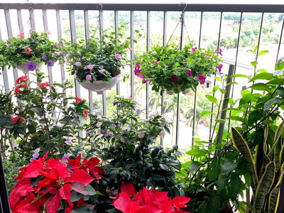 Ecopark, Vietnam Ecopark, Vietnam