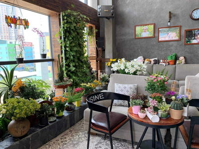 HH2 Bac Ha, Vietnam HH2 Bac Ha, Vietnam