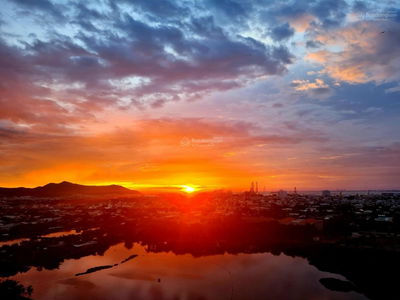 Dic Phoenix, Vietnam  Dic Phoenix, Vietnam