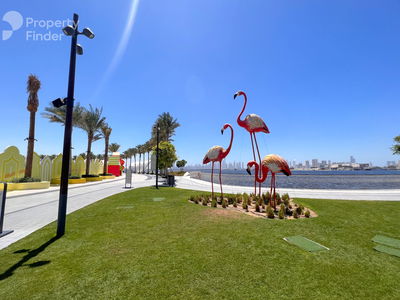 Breeze, United Arab Emirates  Breeze, United Arab Emirates