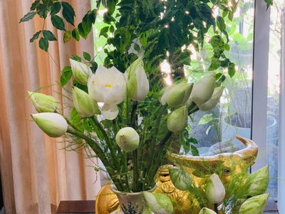 Hoa Binh Green City, Vietnam Hoa Binh Green City, Vietnam