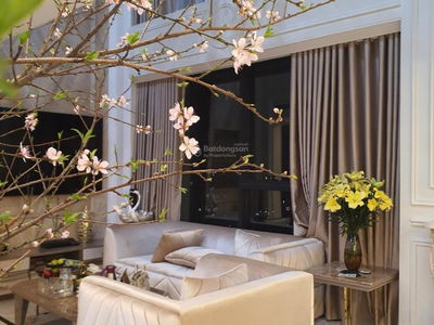 King Palace, Vietnam King Palace, Vietnam