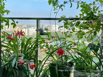 Kingston Residence, Vietnam Kingston Residence, Vietnam